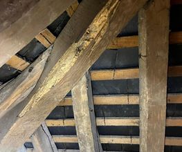 Aco.Habitat image 14