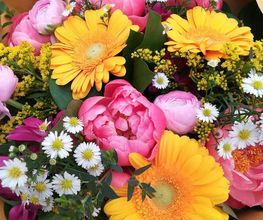 Flor Et Sens image 16