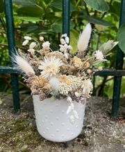 les fleurs d'Hortensia image 8