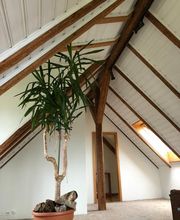 Maler Götschi Bild 2