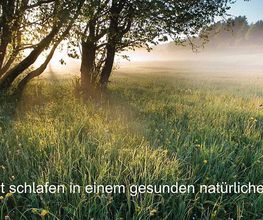 Birnbaumblau Schlafsysteme München ProNatura Naturmatratzen Bild 4