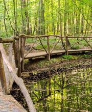 FriedWald Kalletal Bild 8