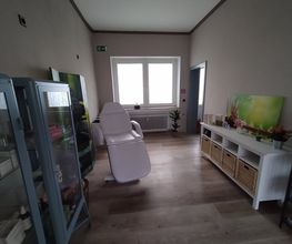 BIOHEMIAN Bild 5