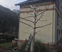 Evd Cerdagne image 15