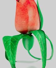 FLoralys Meubles image 2