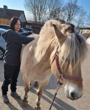 Mela Mobil Tierphysio Bild 1