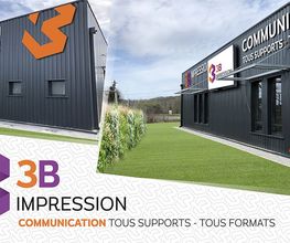3B Impression image 1