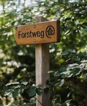 Beschilderte Waldwege durch den FriedWald Bremer Schweiz bieten Besuchern Orientierung.