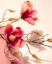 Dubai Beauty Kosmetikstudio Bild 14