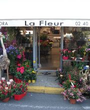 Harmonie fleurs image 2