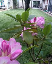 Christophe Abel Paysage image 19