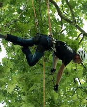 Les Artisans de L'Arbre Sarl Bild 3