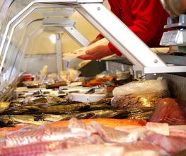 Gross Fische | Jan Gross Fischhandel Bild 3
