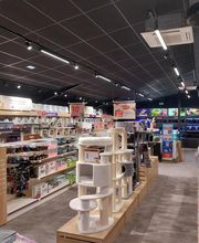 Animalis Brest image 6