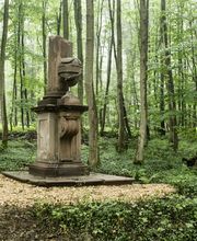 FriedWald Neuwied-Monrepos Bild 12