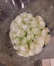 Audrey Fleurs image 16