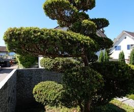 Blumen-Müller AG Bild 4