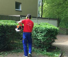 Gebäudereinigung Kwick Bild 4