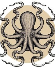L'octopus image 3