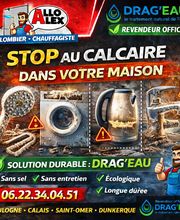 Allo Alex image 16