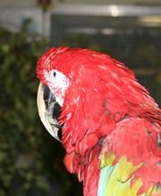 Zoofachgeschäft Schlanstedt Bild 1