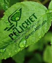 PELICHET NLC SA Bild 10