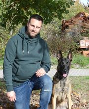Hundeschule Südwest Bild 3