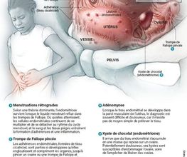 Vilerio Elodie image 9