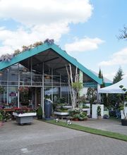 Blumen Wefringhaus blumen-wefringhaus.de Bild 1