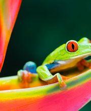 Hang Loose Travelservice Bild 3