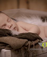 Fotostudio Picturebaer Bild 3