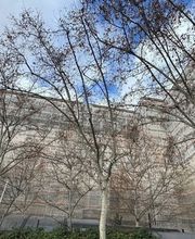 GARCIA PRO SCAFFOLD S L imagen 1