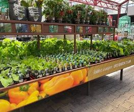 Intratuin Zoetermeer afbeelding 17