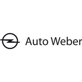 Auto Weber