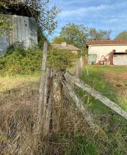 Rapnouil Stephane image 9