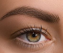 MICRO-CEJAS-SOMBREADO-ERRENTERIA-GUIPUZKOA.jpg