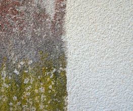 FassadenKrug Bild 2