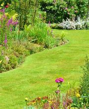 Stéphane Chautems paysagiste Sàrl Bild 1