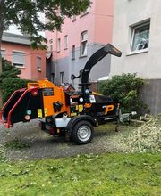 Baumdienst Klettermaxe e.K Bild 4