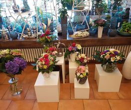 Blumen Nouvelle Fleur Bild 3