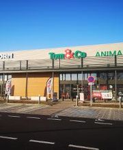 Tom&Co Auchy Les Mines - Dogform image 1