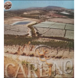 Azienda Agricola Carlino Giuseppe logo