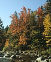 Heiko Lanio Foto-Design Bild 6