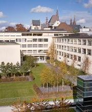 Naturhistorisches Museum Bern Bild 3