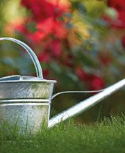 Qualis Vita AG Bild 1