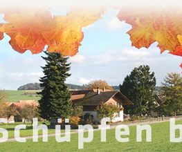 Gemeindeverwaltung Schüpfen Bild 11