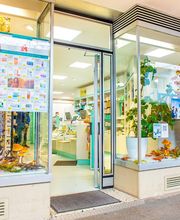 Helena Apotheke Waldstadt Bild 1