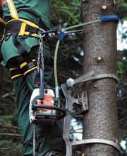 Seildienst Gotec GmbH Bild 1