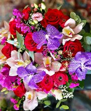 La Poésie des Fleurs Sàrl Bild 7