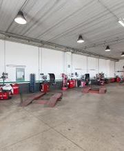 Euromaster Mondial Gomma immagine 5